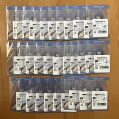 ロキシー DMMスクラッチ 缶バッジ カード キーホルダーコンプセット 