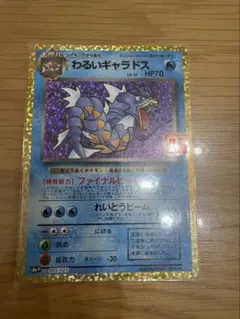 2026年最新】わるいギャラドスの人気アイテム - メルカリ