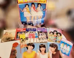 キャンディーズ 1978年 解散当時写真集・パンフレット お宝セット
