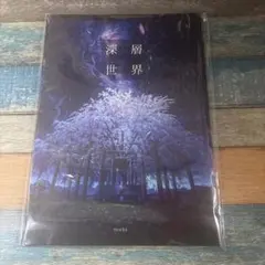 けんぼん様 リクエスト 2点 まとめ商品