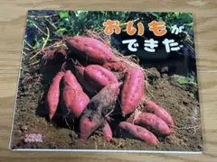 ちえ様 リクエスト 2点 まとめ商品