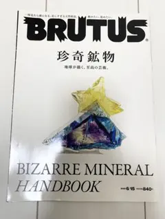 BRUTUS 珍奇鉱物 & TAMBOUR STREET DIVER
