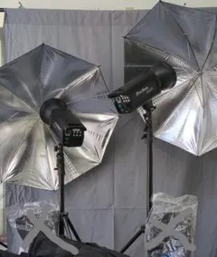 Item thumbnail for item 3c8994e5-bfa2-45c5-ae1d-06dd9bf48de8