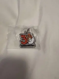 ポケモン30周年メタルチャームマスコットヒトカゲ