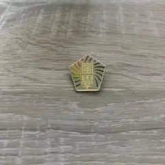 嵐のワクワク学校 ピンバッジ