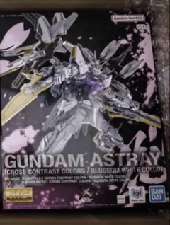 MG 1/100 ガンダムアストレイ クロスコントラストカラーズ 朽木黒