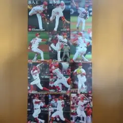 プロ野球チップス 広島東洋カープ2021年戦士 カード 12枚セット