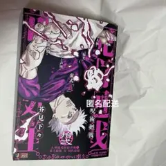 呪術廻戦 リミックス 12巻