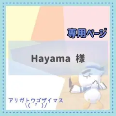 Hayama様 リクエスト 2点 まとめ商品