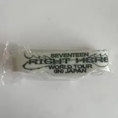 SEVENTEEN RIGHT HERE ラバーバンド MINGYU