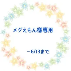 メグえもん様専用