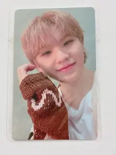 SEVENTEEN セブチ ウジ トレカ あいのちから