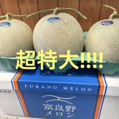 超特大!!!! 優品「品種：ティアラ」 北海道アサヒメロン3玉 8キロ