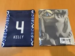 福井ブローウィンズ　巾着袋　#4