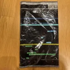 小袋成彬 / 分離派の夏 / タオル logic セッションファイル　柄 新品