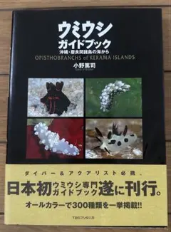 2025年最新】ウミウシ図鑑の人気アイテム - メルカリ