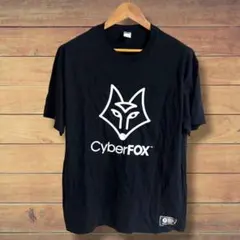美品 フルーツオブザルーム 企業 Tシャツ メンズ XL相当 黒