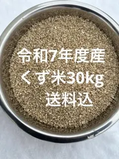 2026年最新】くず米 30kgの人気アイテム - メルカリ
