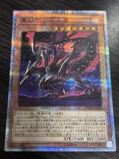 2025年最新】真紅眼の亜黒竜 20thの人気アイテム - メルカリ