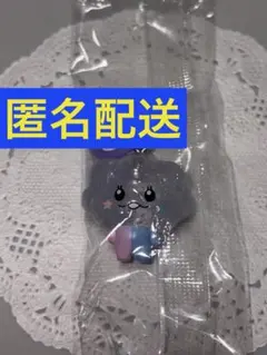 TREASURE TRUZ めじるしアクセサリーSOM ラメ　ドヨン