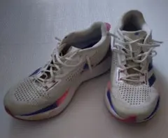 Item thumbnail for item 18b8c271-fab6-4b71-a619-6f6173202429