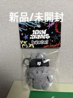NewJeans バニキャン プレミアム席特典 NIKE キーリング - メルカリ