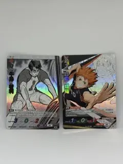 ハイキュー‼︎バボカ‼︎牛島若利SP+日向翔陽頂+他10枚