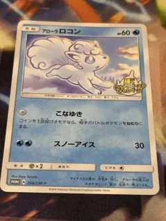 アローラロコン PROMO 206/SM-P ②