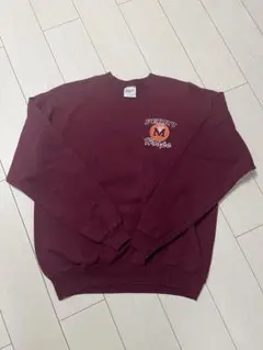 Hanes 90s 00s スウェット バスケ カレッジロゴ