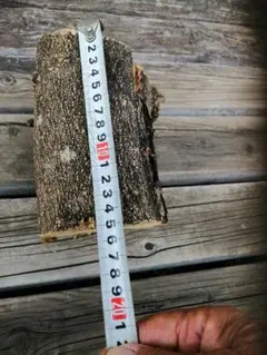 Item thumbnail for item e59432ea-f9f5-473b-b0ae-c81f1d2a5c0a