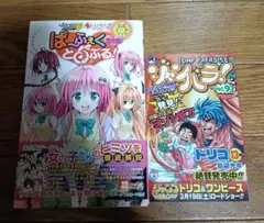 初版帯・特典付】To LOVEる 公式データブック ぱ～ふぇくとらぶる