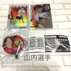 2025年最新】山内晶大 サインの人気アイテム - メルカリ