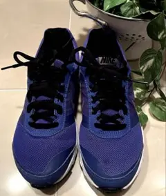 Item thumbnail for item 68fa7da5-7203-4270-bec4-82e4e06ca240