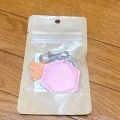 Item thumbnail for item aea53039-b32e-4b1a-a802-3836b51ca44d