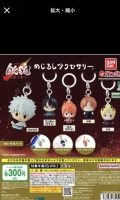 銀魂 めじるしアクセサリー　新八 月詠