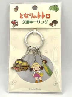 Item thumbnail for item 50c34823-d6c3-4a2e-93c5-eb4beb9e8052