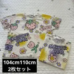 ZARA Tシャツ2枚セット 104cm 110cm 姉妹 お揃い