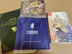 Nintendo Switch ディードリット・イン・ワンダーラビリンス　限定版