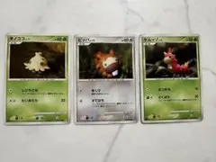 ポケモンカード キノココ ビッパ ケムッソ 3枚セット