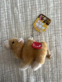 【新品未使用】鳥取砂丘　鳥取大砂丘　幸せの極楽ダ　キーホルダー　ラクダ