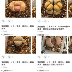 専用❤️速達付き同梱-150円はる様 リクエスト 4点 まとめ商品
