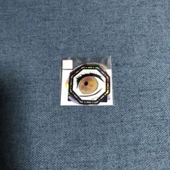 劇場版 鬼滅の刃 無限城編 第一章　血気術オーロラステッカーセット