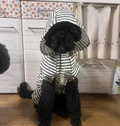 Item thumbnail for item 10905053-47ba-4690-9704-ed826204d84b