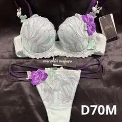 サルート/D65&M/53/ME サルート 53グループ フロントエックス ブラ D65 ソング Tバック M