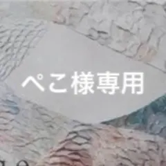 ぺこ様専用】ピアス