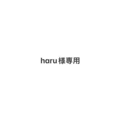 haru様 リクエスト 2点 まとめ商品