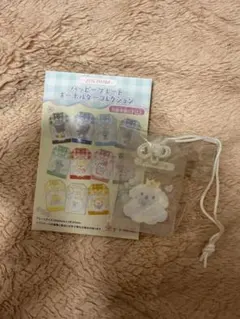最安値JOCHUM ハッピープレートキーホルダーコレクション 【RURU】のサムネイル
