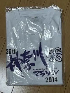 Item thumbnail for item 1796f5df-e464-4008-81a4-7f7f38c2c005