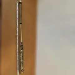 Bomslugger 硬式金属バット ゴールドのサムネイル