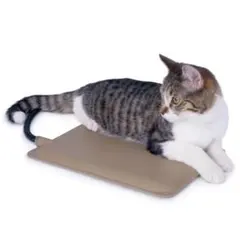 Item thumbnail for item 04ac1260-7188-4b8e-89fa-2d50ff2fee49